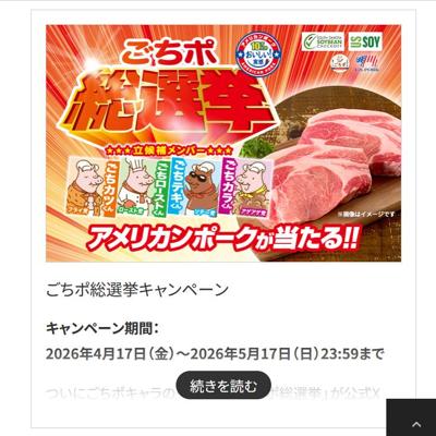 �����������󥭥��ڡ���ξܺ�