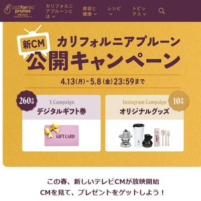 ����ե���˥��ץ롼��CM���������ڡ���ξܺ�