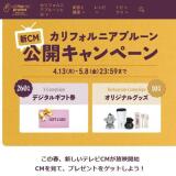 ����ե���˥��ץ롼��CM���������ڡ���γ���