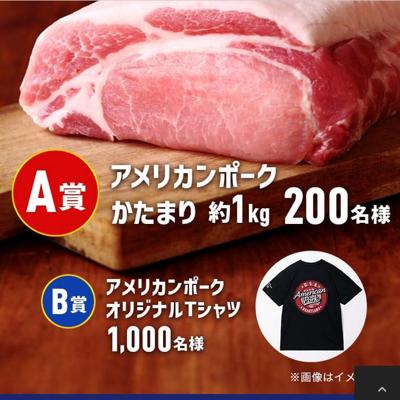 ����ꥫ��ݡ���1kg�������롪��ä����Ƥ褦�����ڡ���ξܺ�