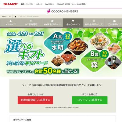 ���٤륮�եȥץ쥼��ȥ����ڡ���ξܺ�