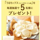 5��Υץ쥼��� ��1�Ƥγ���