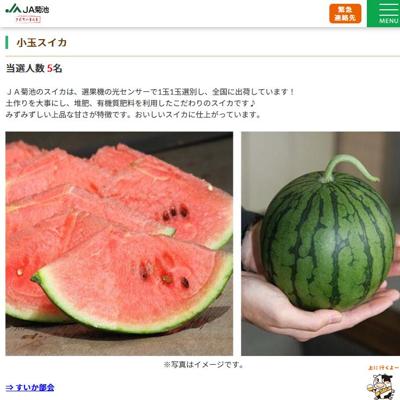 5��Υץ쥼��ȥ������ξܺ�