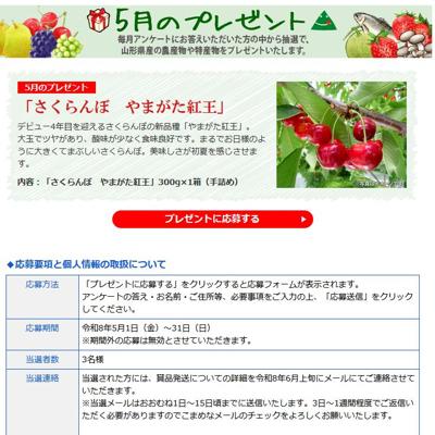 5��Υץ쥼��Ȥξܺ�