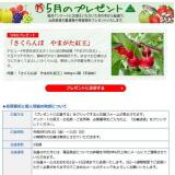 5��Υץ쥼��Ȥγ���