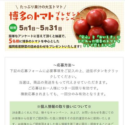 ��¿�����ɥåȥ�����ץ쥼��ȥ����ڡ���ξܺ�