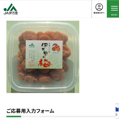 ���ե������ۡ���ڡ��� �ץ쥼��ȥ����ʡ��ξܺ�