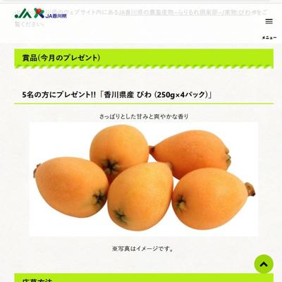 ����(5��)�Υץ쥼��Ȥξܺ�