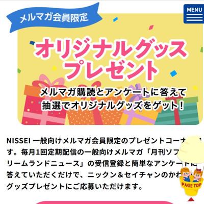 ���ꥸ�ʥ륭��饯�������å��ץ쥼��Ȥξܺ�