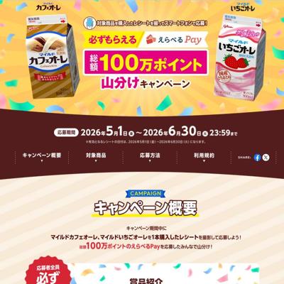 100���ݥ���Ȼ�ʬ�������ڡ���ξܺ�