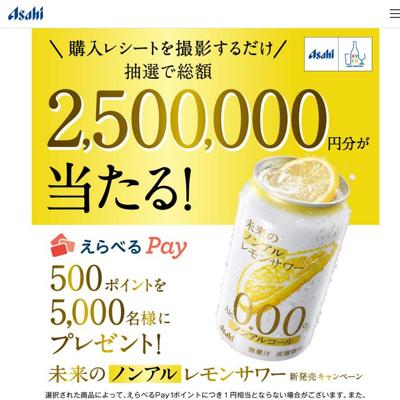 ̤��ΥΥ󥢥���󥵥��ȯ�䥭���ڡ���ξܺ�