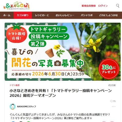 �ȥޥȥ����꡼��ƥ����ڡ���2026�ξܺ�