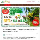 �ȥޥȥ����꡼��ƥ����ڡ���2026�γ���