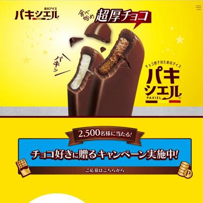 �ѥ�������֥��祳������£�륭���ڡ���פξܺ�
