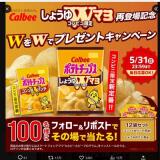 WをWでプレゼントキャンペーンの概要