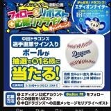 エディオンナイター開催記念の概要