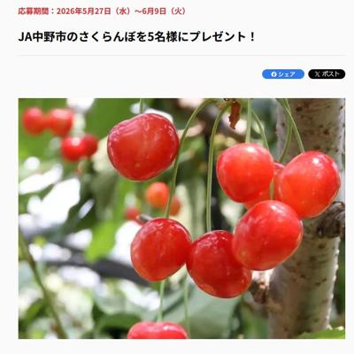 Ĺ��Τ����������ץ쥼��Ȥξܺ�