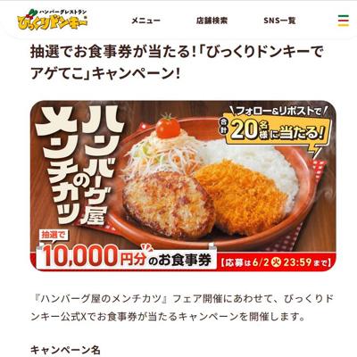 「びっくりドンキーでアゲてこ」キャンペーン!の詳細