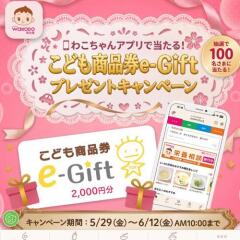 ���ɤ⾦�ʷ� e-Gift�ץ쥼��ȥ����ڡ�����¸�Ʋ�γ���