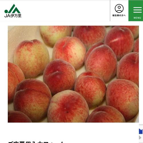 ���ե������ۡ���ڡ��� �ץ쥼��ȥ����ʡ��ξܺ�