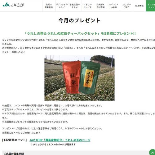 ����Υץ쥼��Ȥξܺ�