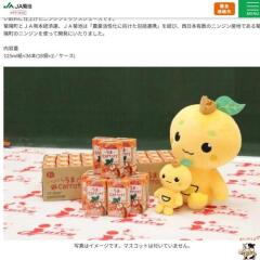 6��Υץ쥼��ȥ������γ���