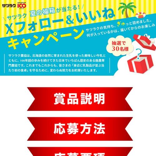 X �ե������������͡��ץ쥼��ȥ����ڡ���ξܺ�