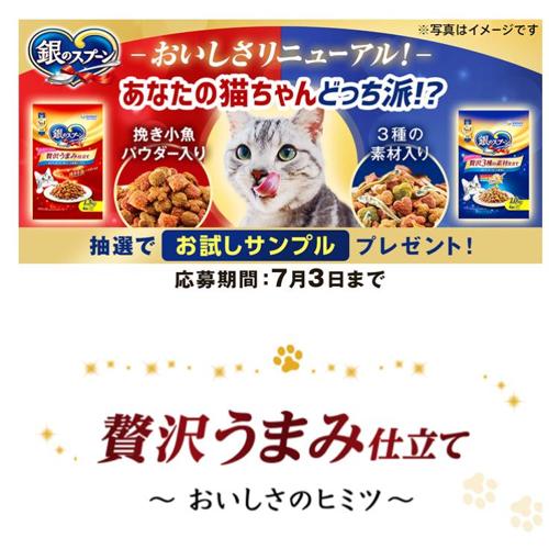 銀のスプーンおいしさ実感お試しプレゼントキャンペーンの詳細