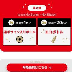 Jリーグオールスター観戦チケットプレゼントキャンペーンの概要
