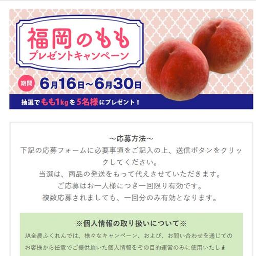 ��¿�����ɥåȥ�����ץ쥼��ȥ����ڡ���ξܺ�