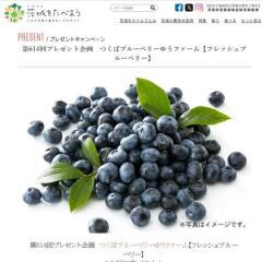 ���򤿤٤褦Ϣư�ץ쥼��ȴ��γ���