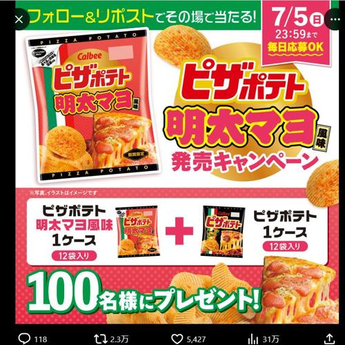 �ԥ��ݥƥ������ޥ���̣ ȯ�䥭���ڡ���ξܺ�
