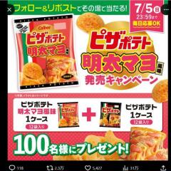 �ԥ��ݥƥ������ޥ���̣ ȯ�䥭���ڡ���γ���