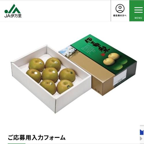 ���ե������ۡ���ڡ��� �ץ쥼��ȥ����ʡ��ξܺ�