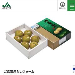 ���ե������ۡ���ڡ��� �ץ쥼��ȥ����ʡ��γ���