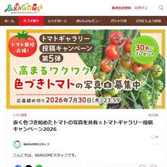 �ȥޥȥ����꡼��ƥ����ڡ���2026�γ���