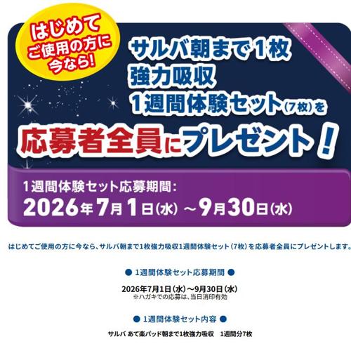 �Ϥ���Ƥ����Ѥ����˺��ʤ顪����������ץ쥼��Ȥξܺ�