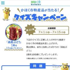 ���ۤ����û��ʤ������롪�����������ڡ���γ���