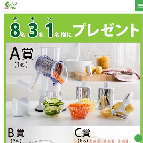 「ドレッシング」に関するアンケートの詳細