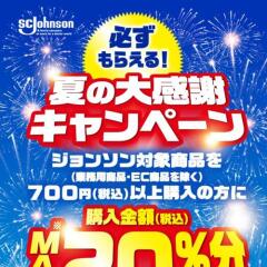 �Ƥ��紶�ե����ڡ���γ���