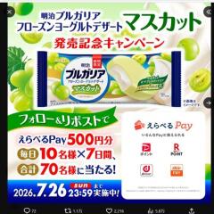 �����֥륬�ꥢ �ե�������衼����ȥǥ����� �ޥ����å� ȯ�䵭ǰ�����ڡ���γ���