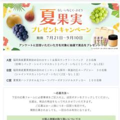 博多元気ドットコム★プレゼントキャンペーンの概要