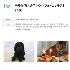 �����Ρ֤����λҡץڥåȥե��ȥ���ƥ���2026�γ���