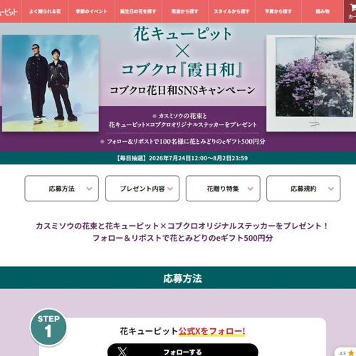�֥��塼�ԥåȡߥ��֥����ز����¡٥��֥���������SNS�����ڡ���ξܺ�