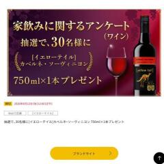 家飲みに関するアンケート(ワイン)の概要