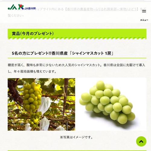 今月(5月)のプレゼントの詳細
