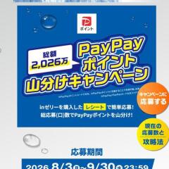 in���꡼ 2,026���ݥ���Ȼ�ʬ�������ڡ���γ���
