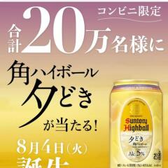 20��̾�ͤ������롪�����ڡ���γ���