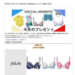 My Wacoal ���С�����ץ쥼��Ȥγ���