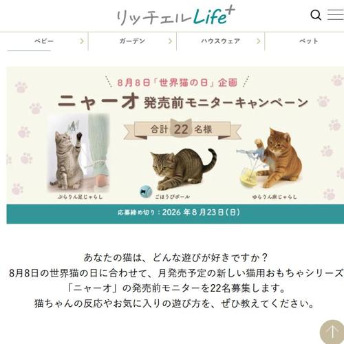 ����ǭ���� �˥㡼��ȯ������˥��������ڡ���ξܺ�